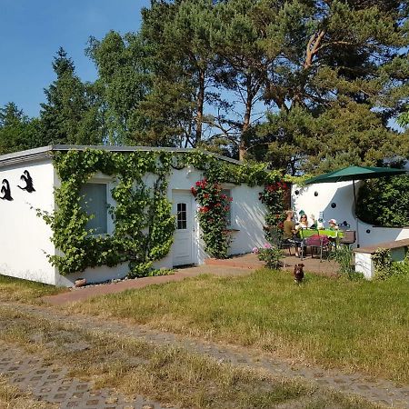 Ferienhaeuschen Villa Born Kültér fotó
