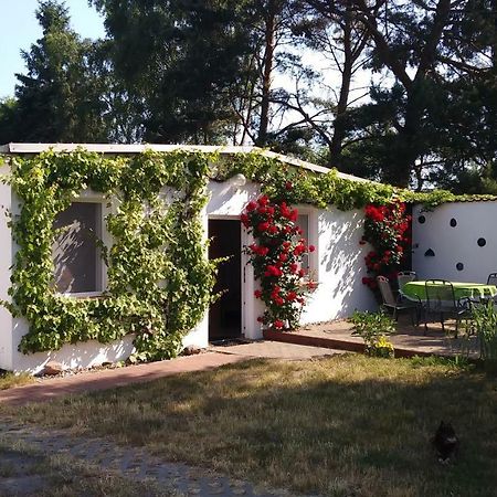 Ferienhaeuschen Villa Born Kültér fotó