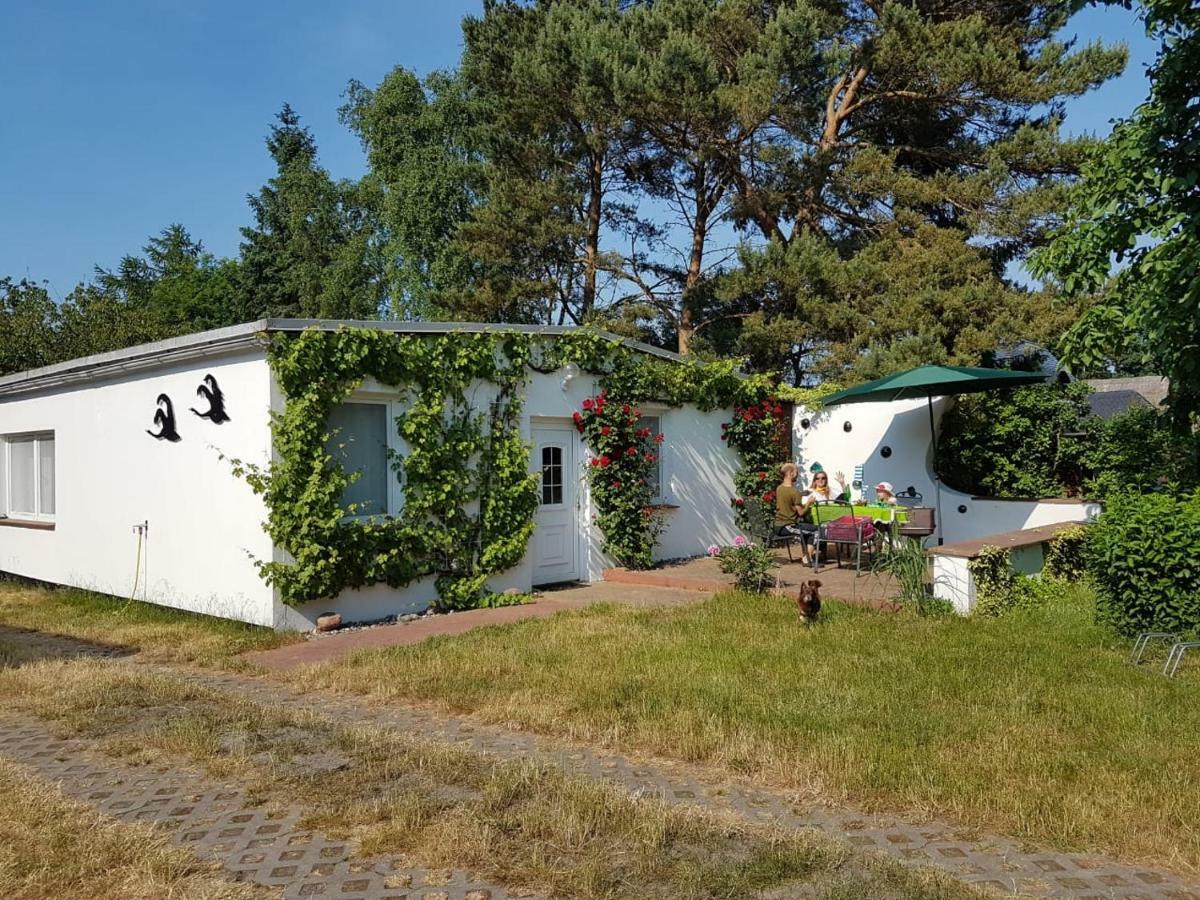 Ferienhaeuschen Villa Born Kültér fotó