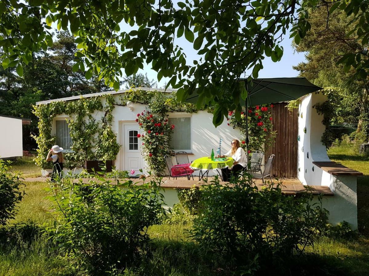 Ferienhaeuschen Villa Born Kültér fotó