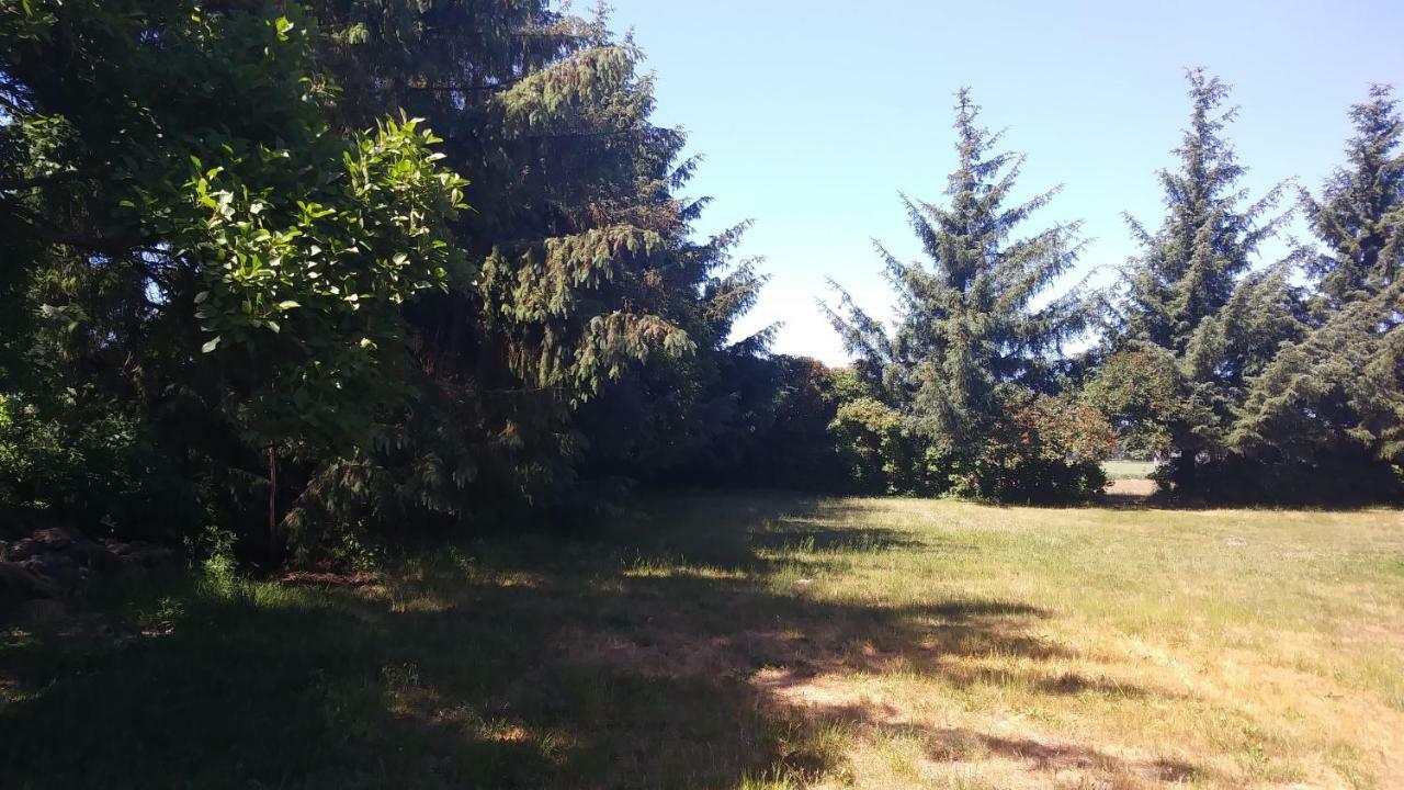 Ferienhaeuschen Villa Born Kültér fotó