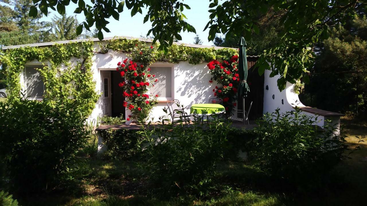 Ferienhaeuschen Villa Born Kültér fotó