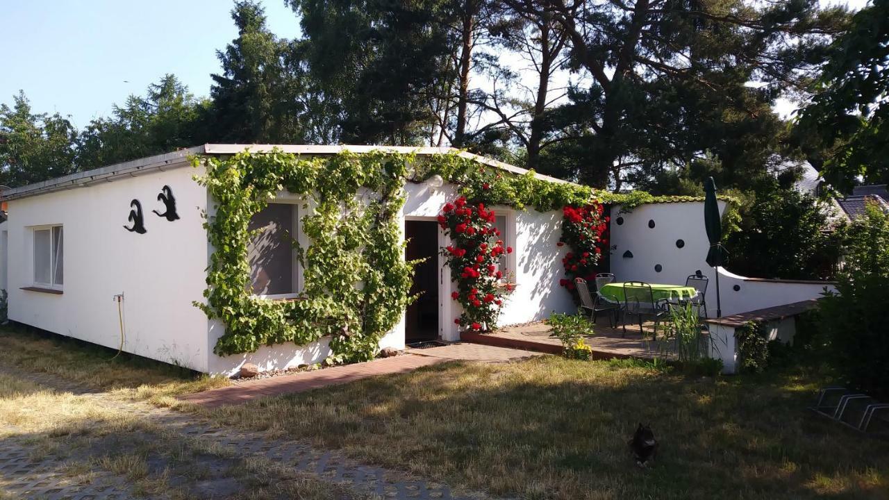 Ferienhaeuschen Villa Born Kültér fotó