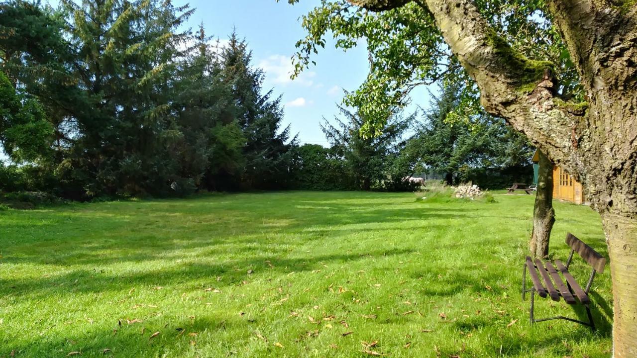 Ferienhaeuschen Villa Born Kültér fotó